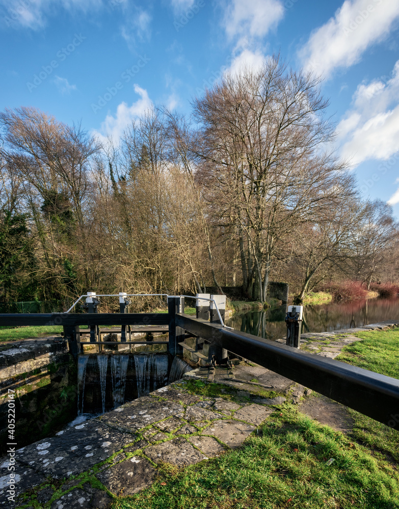 Old Irish Canal Way in Winter Old Irish Canal Way in Winter