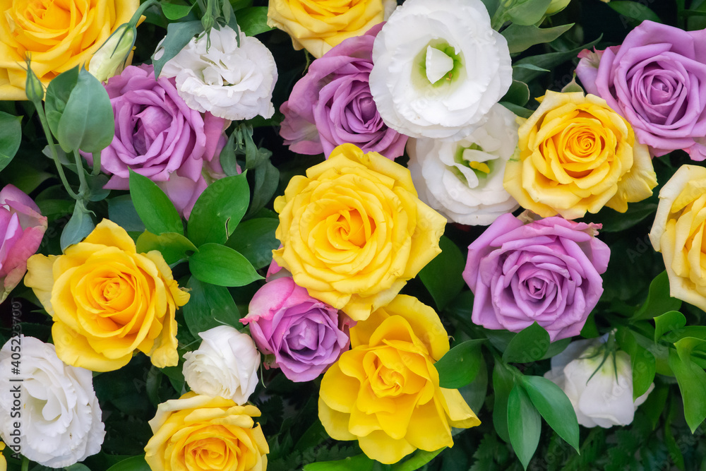 rose flower in bouquet background rose flower in bouquet background