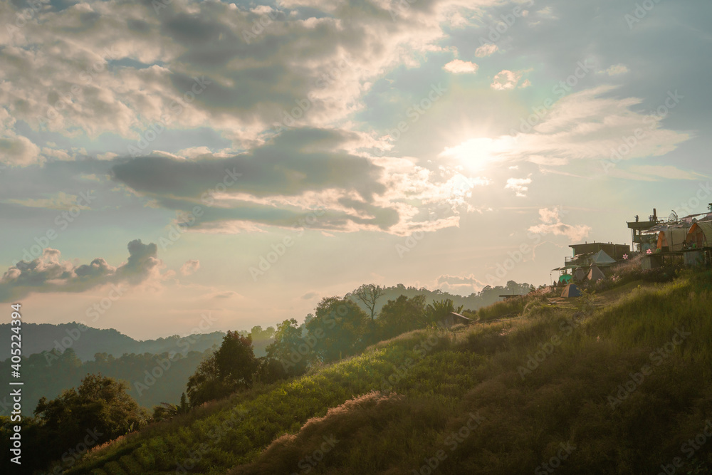 mountain view with sunrise and tea field background