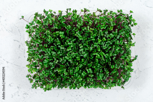 Fresh organic microgreens in a plastic container on a white background. Micro greens.