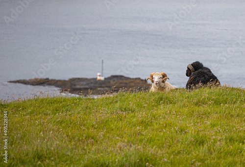 Faroe Islands photo