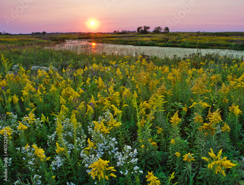 573-101 Springbrook Prairie Sunset photo