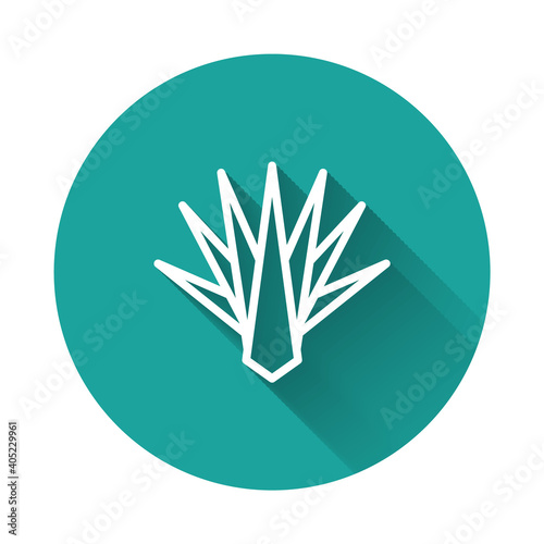 White line Agave icon isolated with long shadow background. Traditional Mexican plant. Green circle button. Vector.
