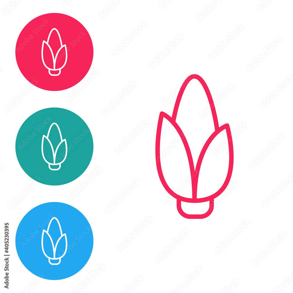 Red line Corn icon isolated on white background. Set icons in circle buttons. Vector. Red line Corn icon isolated on white background. Set icons in circle buttons. Vector.