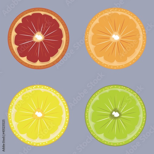 Set of colorful citrus fruits. Collection of drawing orange, lemon, grapefruit and lime. Citruses vector illustration for poster, card, print, banner, textile.