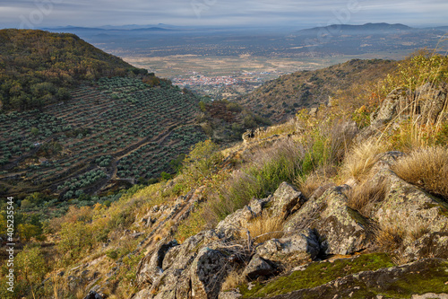 Landscape near montanchez. Extremadura. Spain. photo