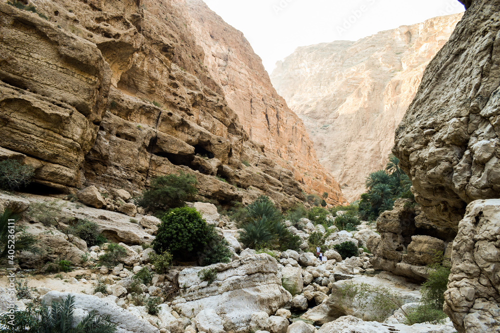 Rocky valley with shrubs and small trees in Wadi Shab, Oman. Rocky valley with shrubs and small trees in Wadi Shab, Oman.