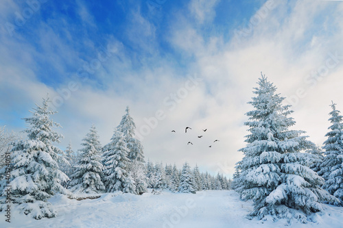 verschneite Bergwelt © Jenny Sturm