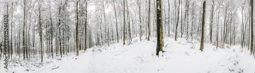 scenic winter landscape at the Platte forest in Wiesbaden © travelview