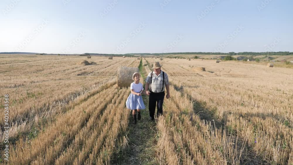 Grandfather and granddaughter walking across the field with haystacks. Farmer grandfather teaches the younger generation. Grandfather and granddaughter walking across the field with haystacks. Farmer grandfather teaches the younger generation.