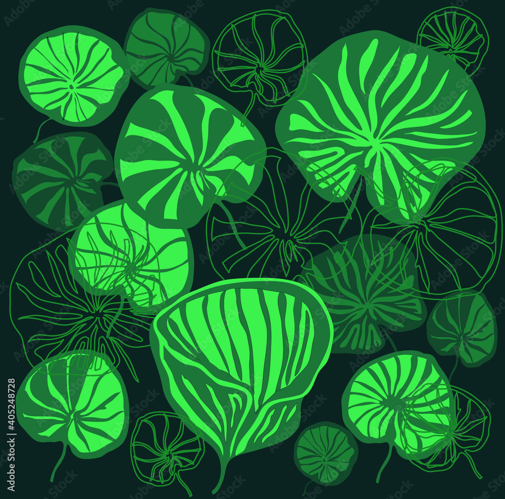 Naklejka premium Leaves of the nut-bearing lotus with pink flowers, pistils and stamens on a dark green background. Vector.