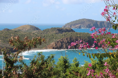 carribbean sea view with flowers