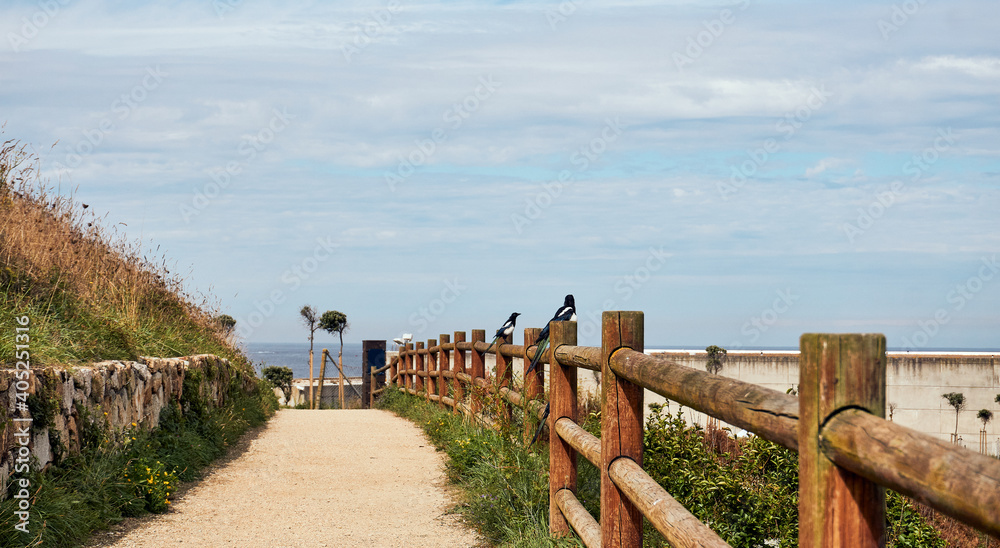 Dirt road for a relaxed walk or jog in the city with sea views