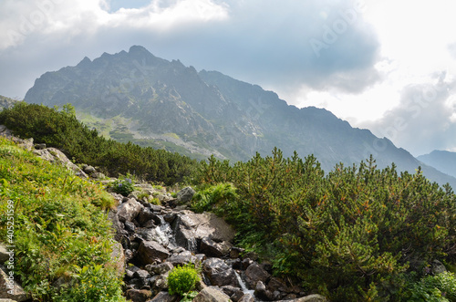 The image shows peaks and slopes with pine and limestone rocks of the High Tatra mountains in northern Slovakia
