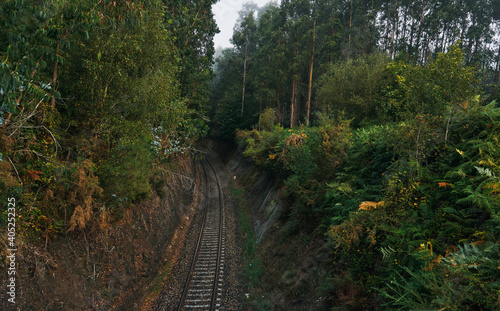 Train tracks going through a misty forest