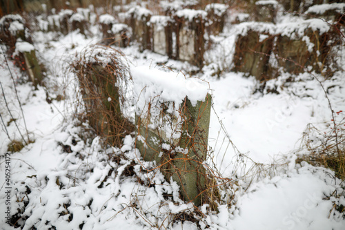 Tombstones in a jewish cemetery during a cold and snowy winter day.