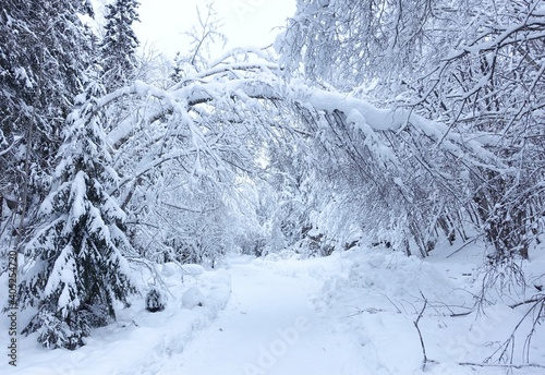 Winter Road II