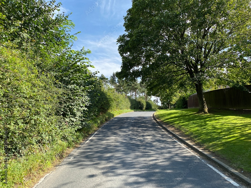 View along, Drury Lane, with high hedgerow and trees in, Harrogate, Yorkshire, UK View along, Drury Lane, with high hedgerow and trees in, Harrogate, Yorkshire, UK
