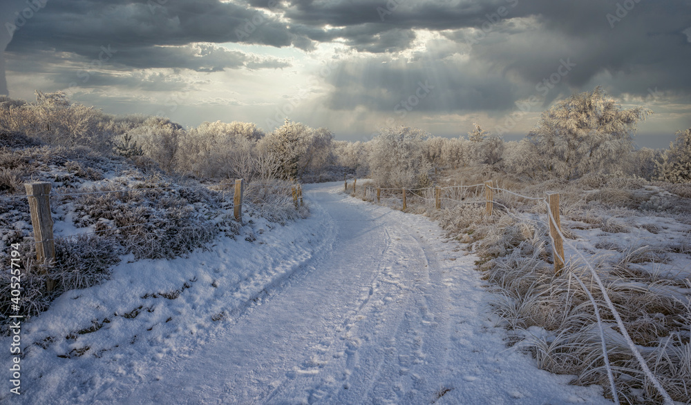 Obraz premium Winterliche Schneelandschaft