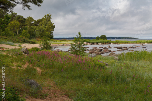 Baltic sea shore with boulders, grass and trees. Daytime.