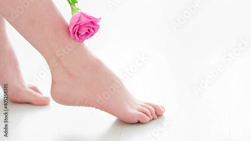 Fototapeta Naklejka Na Ścianę i Meble -  unrecognizable woman runs a fresh rose over the skin. skin tender as a rose concept. winter skin care. pedicure and foot care, smooth heels. close up view. Copy space