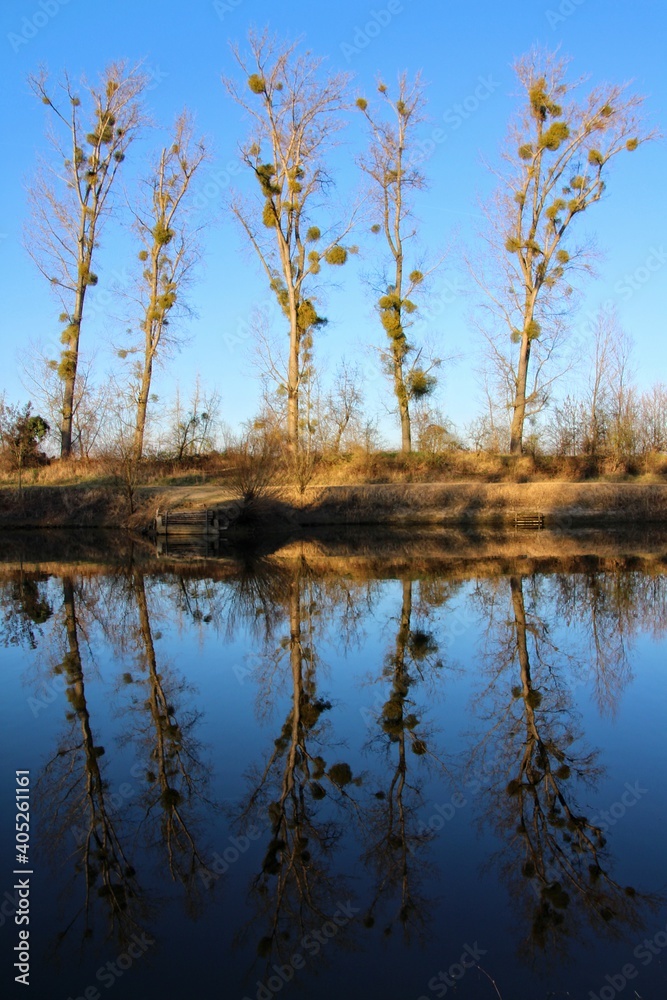 Teich Teich