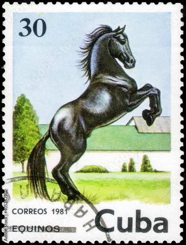 Postage stamp issued in the Cuba with the image of the Horse, Equus ferus caballus. From the series on Horses, circa 1981