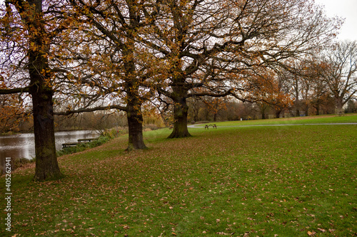 Autumn in Park Markeaton in England Fototapet