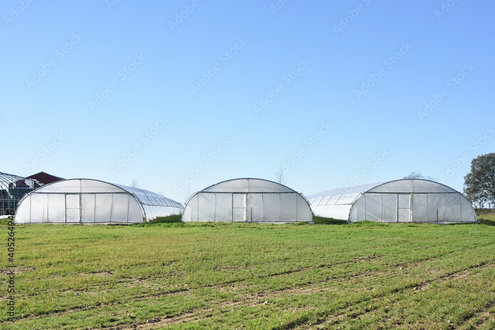 Three white tunnel greenhouse structures in the countryside