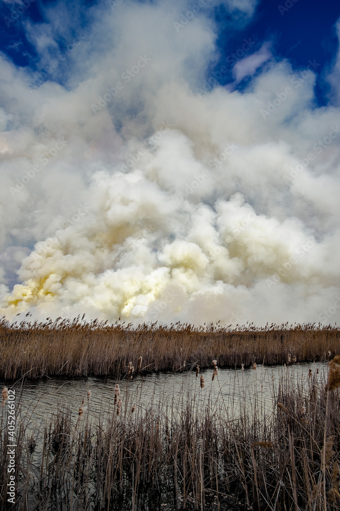 Wildfire. clouds of smoke, natural disaster, tragedy of nature, burning forest smoke rises into the sky, emergency, disaster Wildfire. clouds of smoke, natural disaster, tragedy of nature, burning forest smoke rises into the sky, emergency, disaster