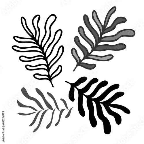Isolated vector set of black and white grass blades leaves lined and silhouette