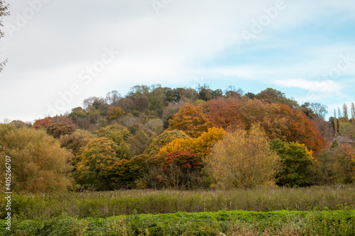 Fototapeta Naklejka Na Ścianę i Meble -  Visit park in autumn in my city Burton on trent England, walking on river