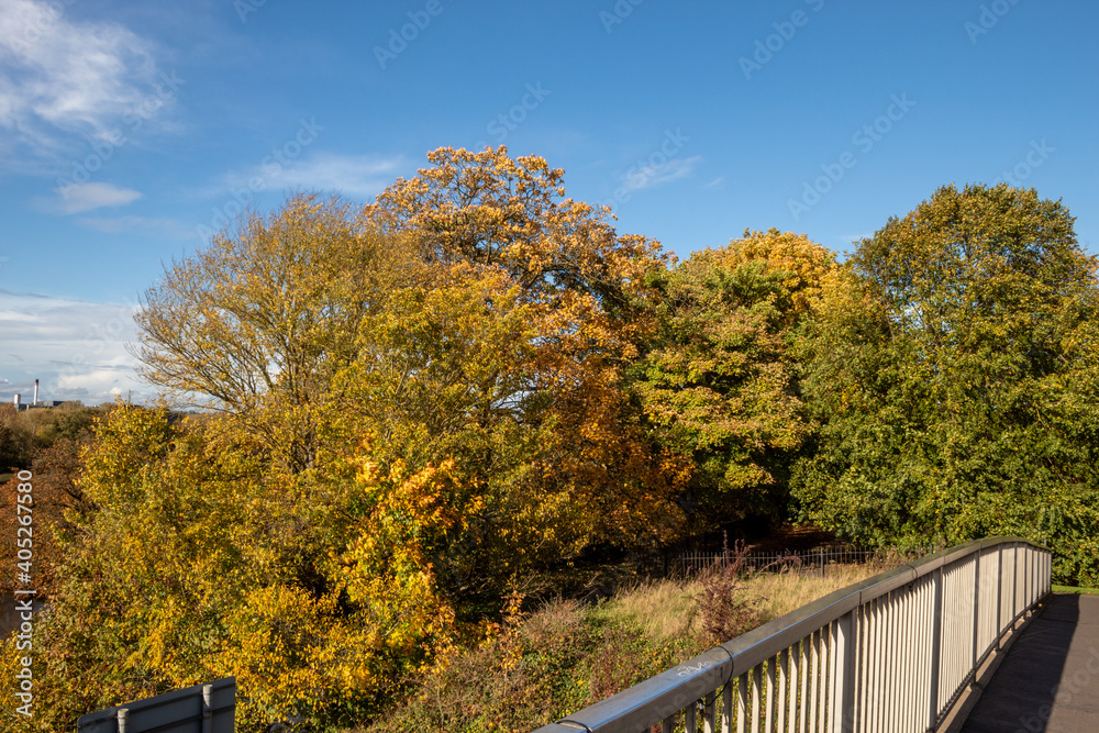 Visit park in autumn in my city Burton on trent England, walking on river Visit park in autumn in my city Burton on trent England, walking on river