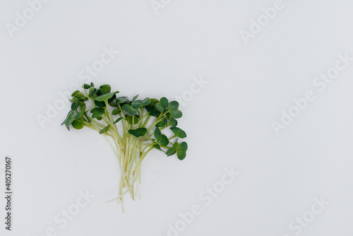 Micro-green sprouts close-up on a white background with free space. Healthy food and lifestyle