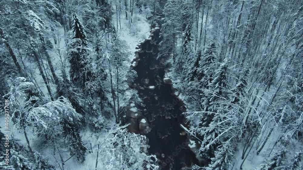 Dark river in the winter dark forest Dark river in the winter dark forest