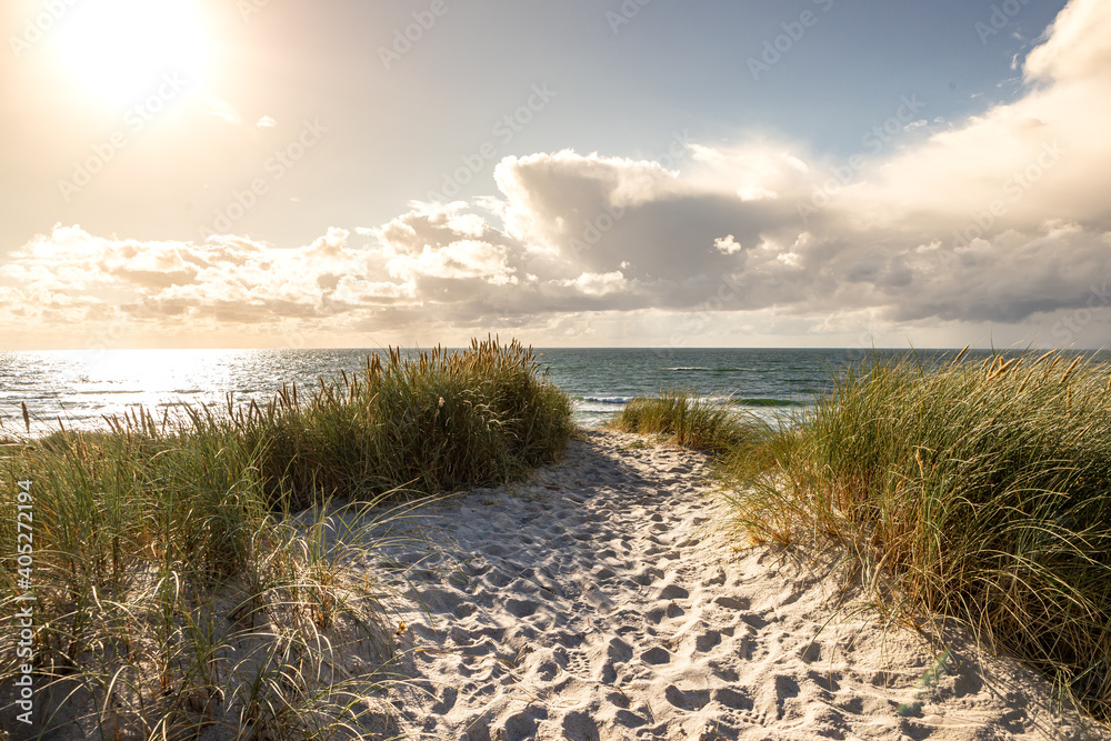 Strandlandschaft mit Gräsern in warmem Licht Strandlandschaft mit Gräsern in warmem Licht