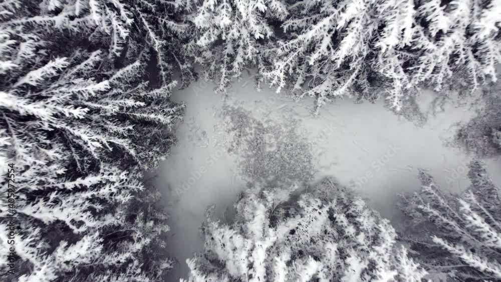 View of the snowy forest. Shot shot with a drone. Aerial view of a snowstorm in the mountains.