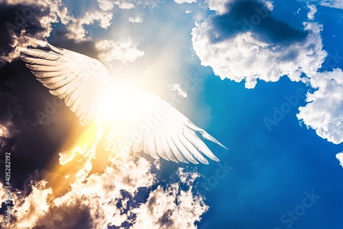 Photography Flight of soul  , Angel in Heaven of Paradise