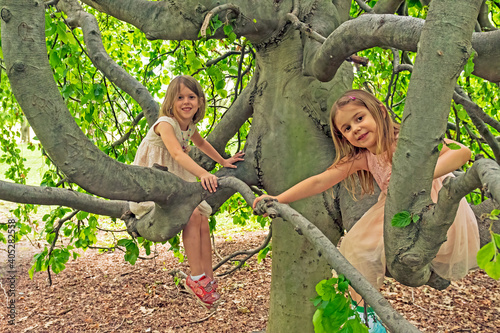 Twins Playing in a Weeping Elm Tree photo