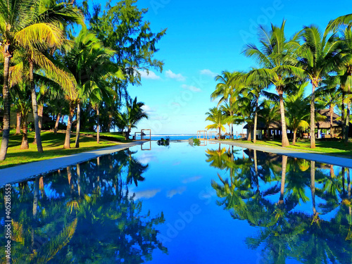 tropical island palm trees paradise landscape summer vacation Indian ocean exotic nature infinity pool sunny day relax luxury resort dream tranquility loneliness solitude zen.