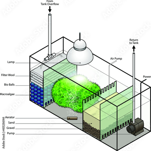 A refugium filter setup for an aquarium.