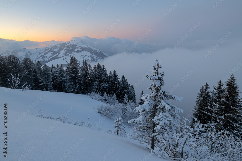 RIGI - KÖNIGIN DER BERGE RIGI - KÖNIGIN DER BERGE