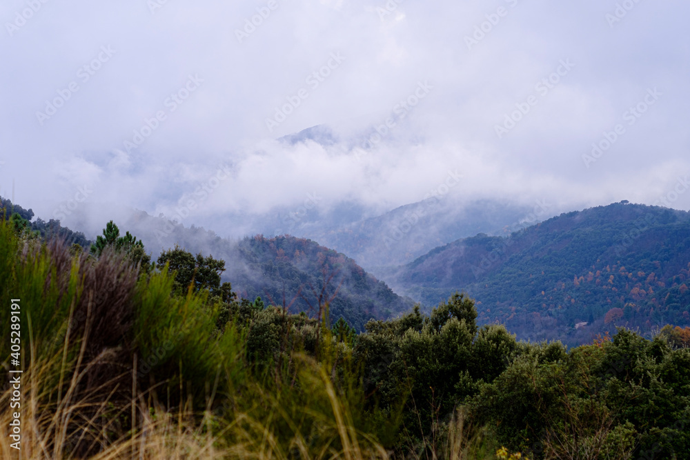 Foggy cloudscape on a rainstorm landscape green bush mountain forest