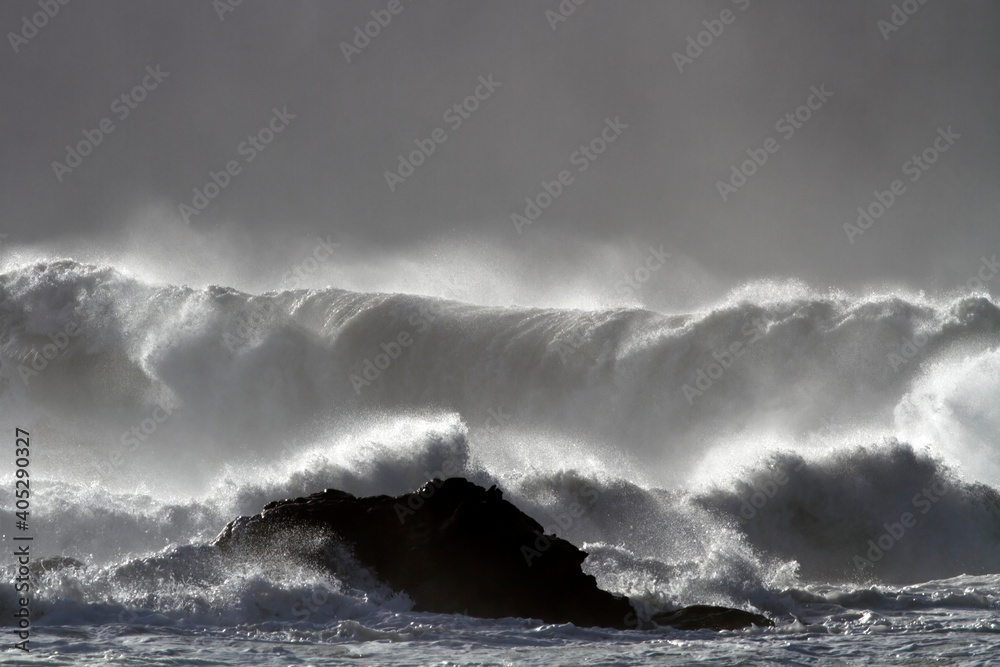 Big breaking stormy wave
