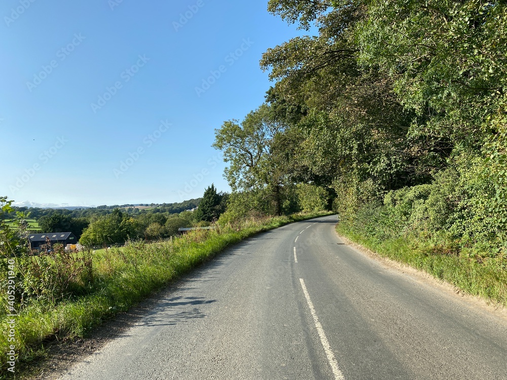 Looking up, Scarah Bank, on a hot day in, Ripley, Harrogate, UK