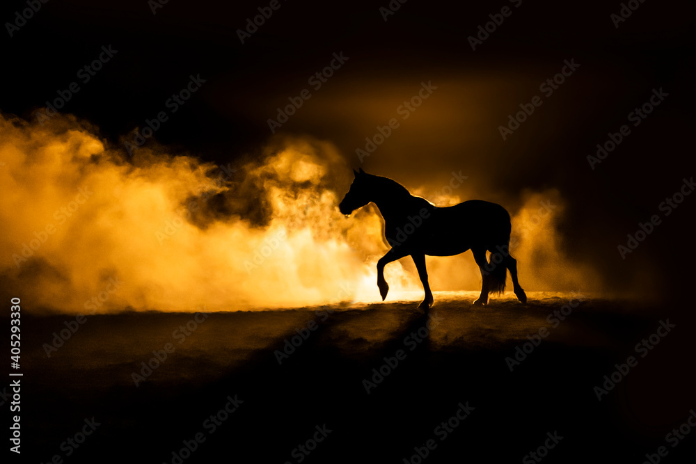 Horse silhouette on orange smokey back ground Horse silhouette on orange smokey back ground