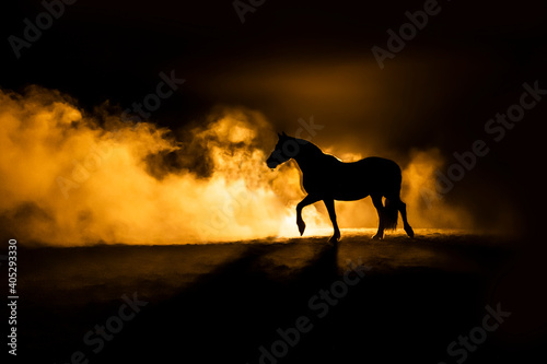 Horse silhouette on orange smokey back ground