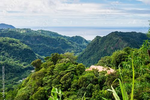 Landscape view on trail to the Trafalgar waterfalls. Morne Trois Pitons National Park, Dominica, Leeward Islands photo