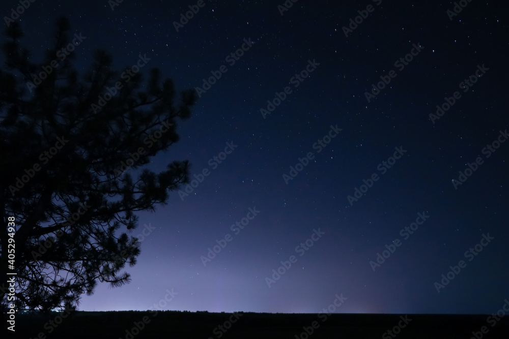 Beautiful landscape with starry sky at night