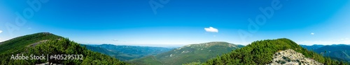 beautiful panorama with alpine pine and mountains under blue sky © mikhailgrytsiv